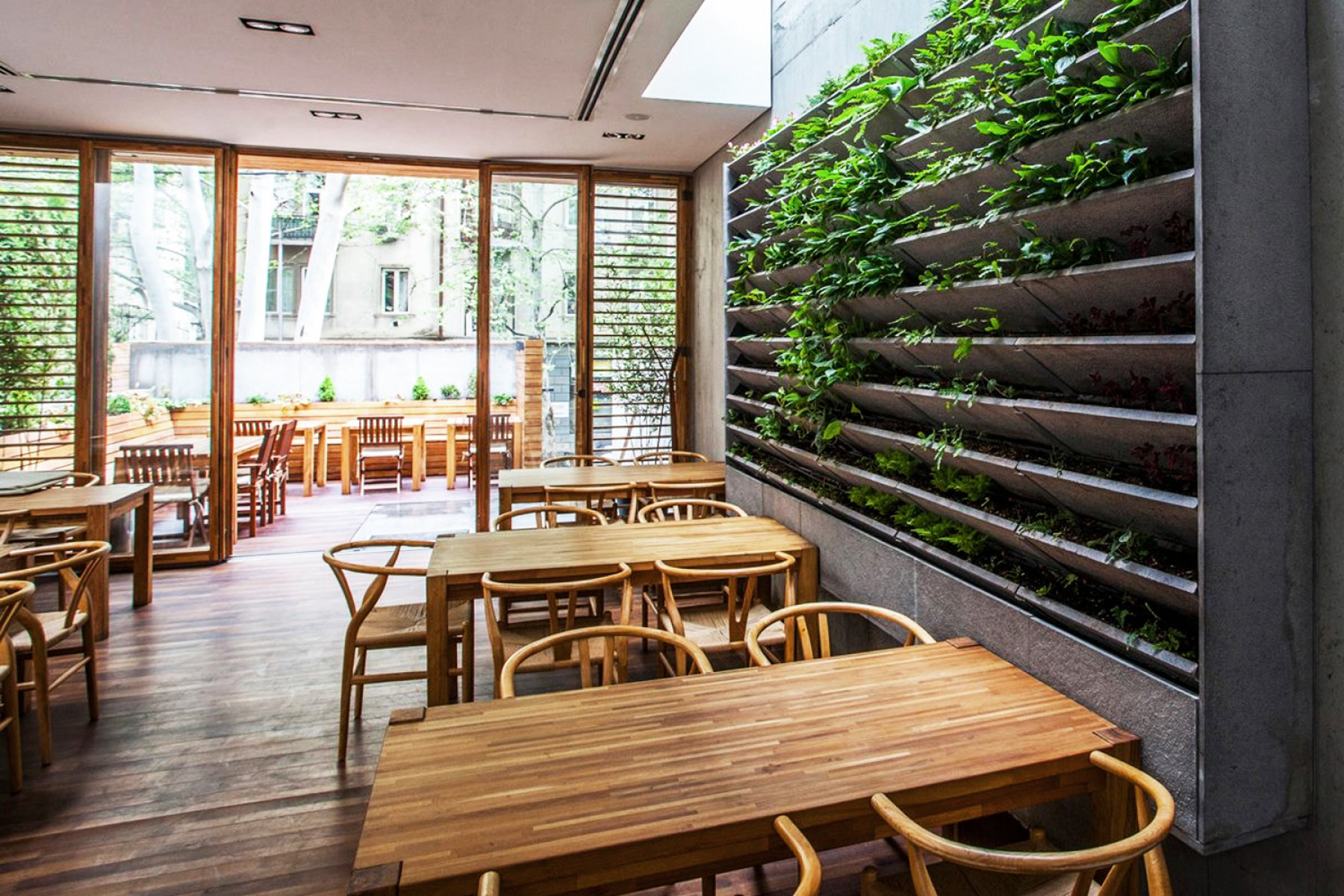 Ресторан листва. Кафе бар терраса Tbilisi. Ресторан-веранда экостиль. Летняя веранда зелень. Терраса кафешки зелень.