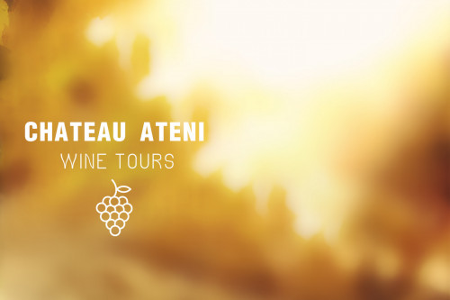 Wine tour in ,,Chateau- Ateni”